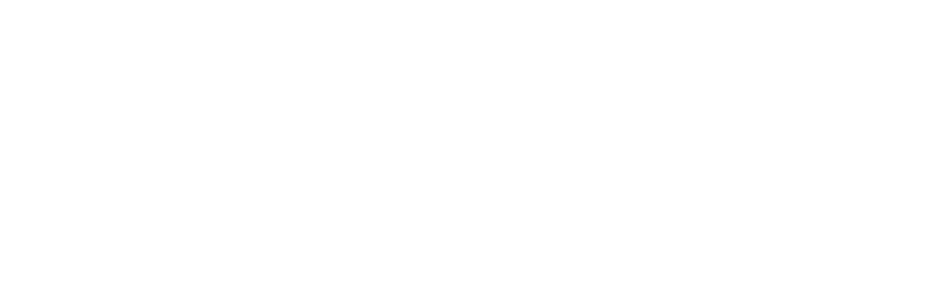 CIWeb.AI